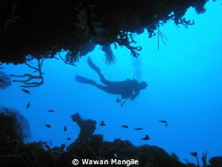 has amazing dive in Gorontalo by Wawan Mangile 